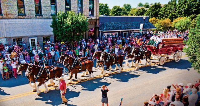 Clydesdales15